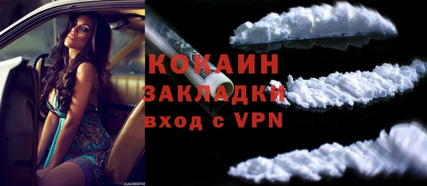 ПСИЛОЦИБИНОВЫЕ ГРИБЫ Богданович
