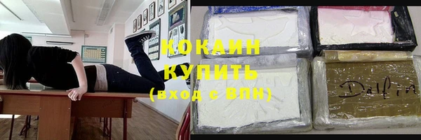 ПСИЛОЦИБИНОВЫЕ ГРИБЫ Богданович