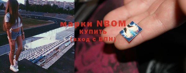 ПСИЛОЦИБИНОВЫЕ ГРИБЫ Богданович