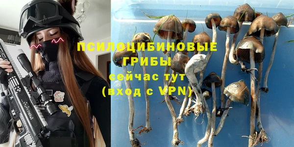 твердый Богородицк