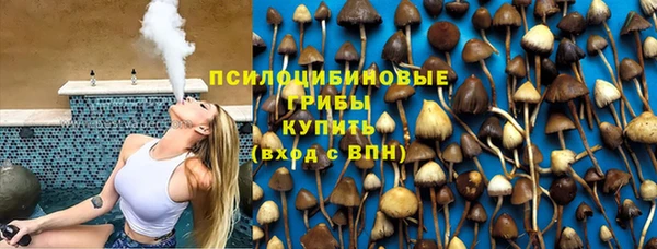 твердый Богородицк