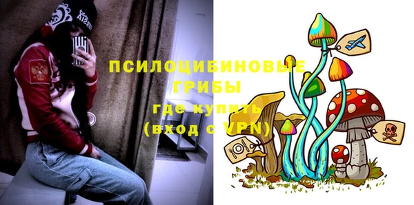 альфа пвп Беломорск