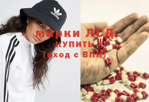 ПСИЛОЦИБИНОВЫЕ ГРИБЫ Богданович