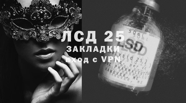 ПСИЛОЦИБИНОВЫЕ ГРИБЫ Богданович