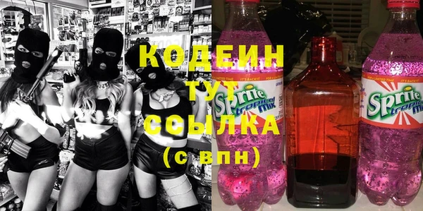 ПСИЛОЦИБИНОВЫЕ ГРИБЫ Богданович