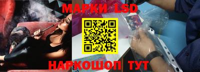 Альфа ПВП Новодвинск