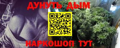 Альфа ПВП Новодвинск