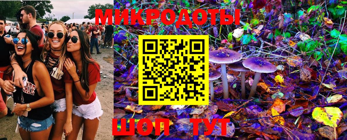 Псилоцибиновые грибы Cubensis Бутурлиновка